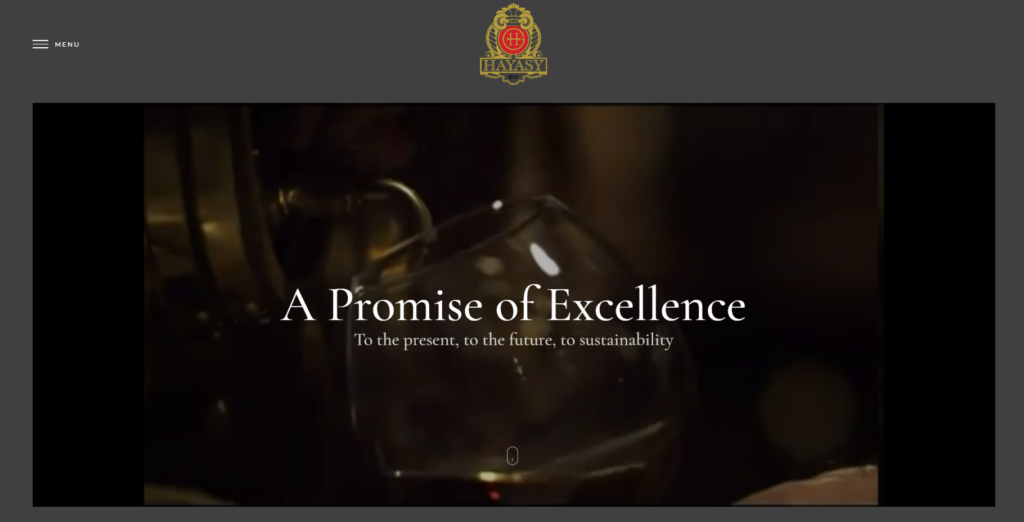 HAYASY GROUP